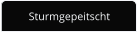 Sturmgepeitscht